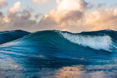 Make a Splash this World Oceans Day