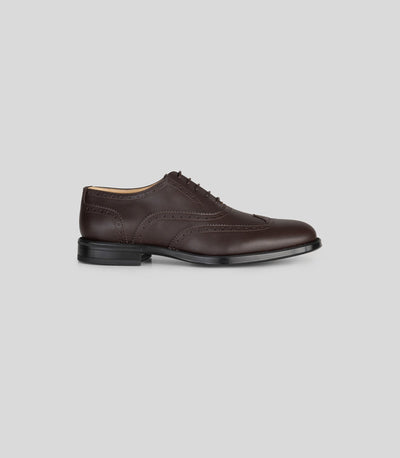 OXFORD BROGUE - Man