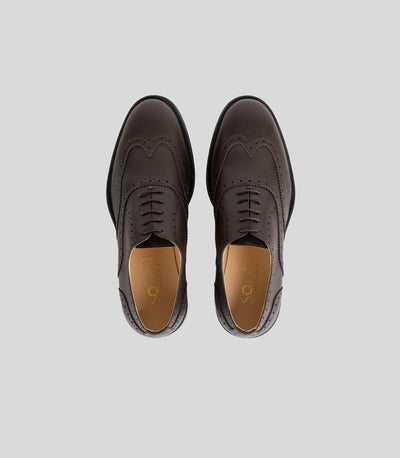 OXFORD BROGUE - Man