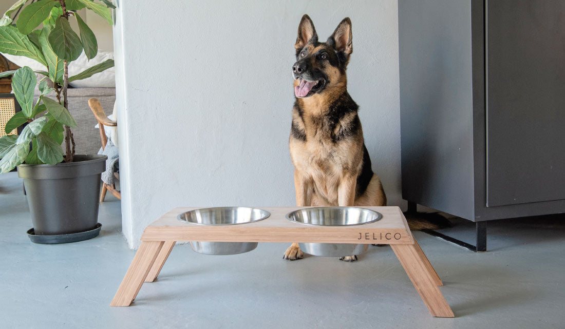 Bentley Elevated Bamboo Pet Feeder