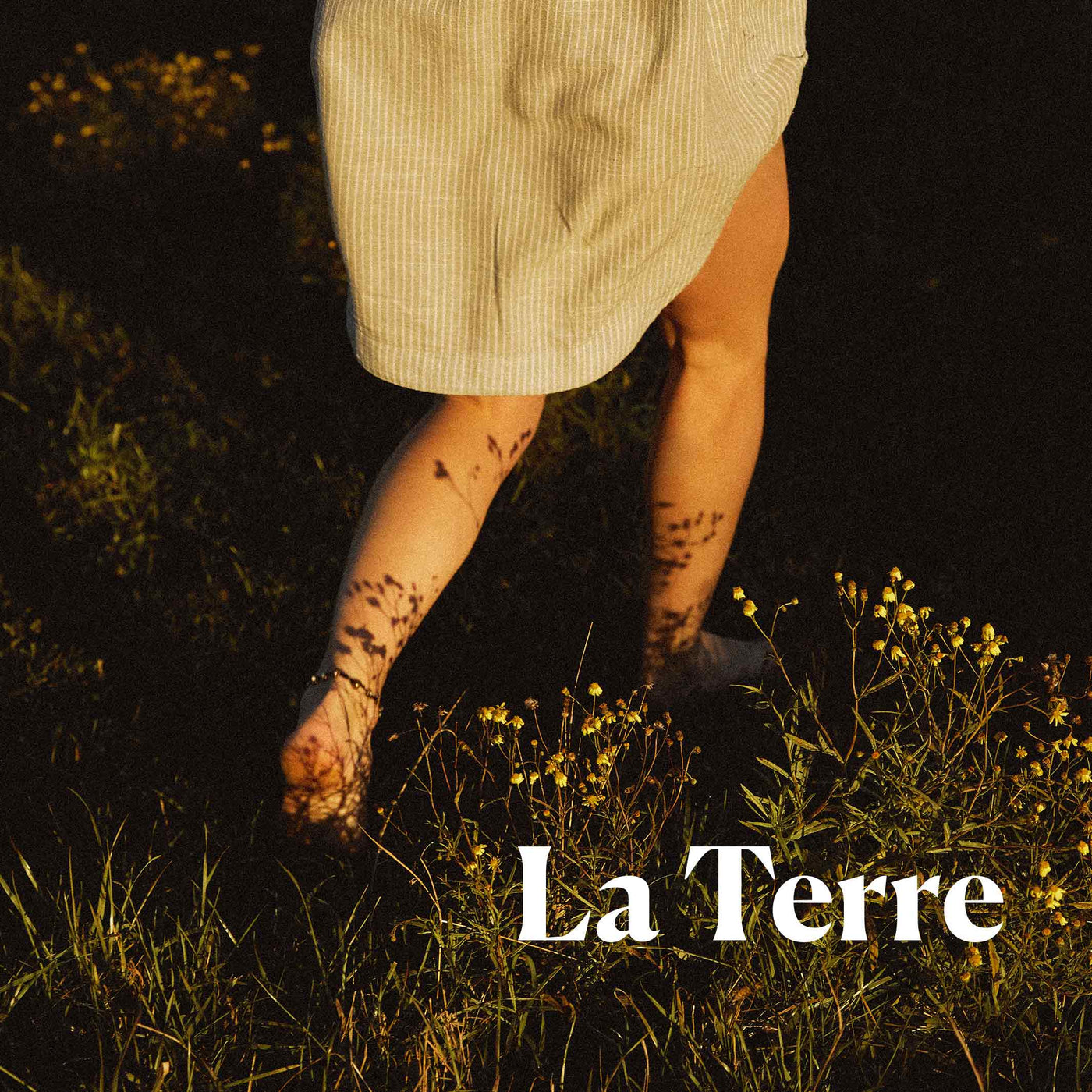 LA TERRE