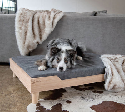 Charlie Large Bamboo Dog Bed