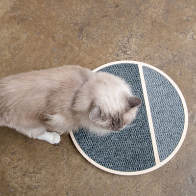 Cat Scratch Pad