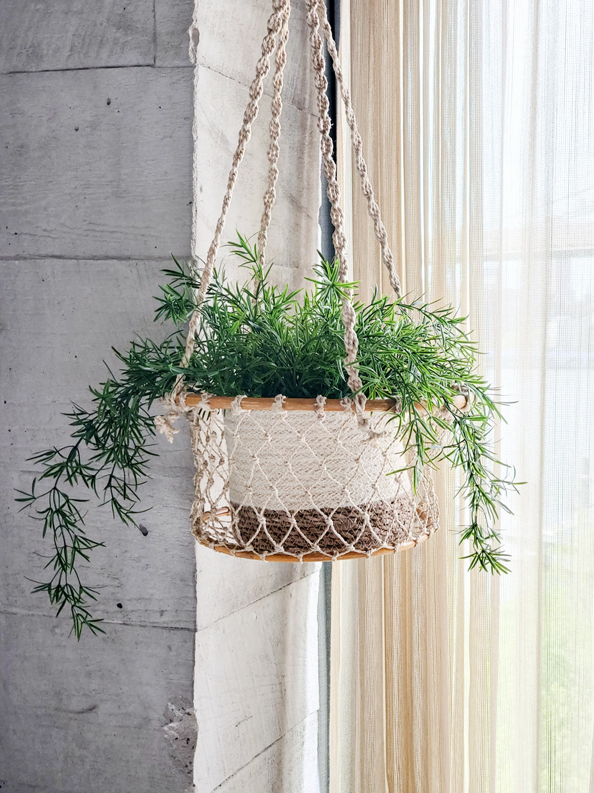 Jhuri Single Hanging Basket