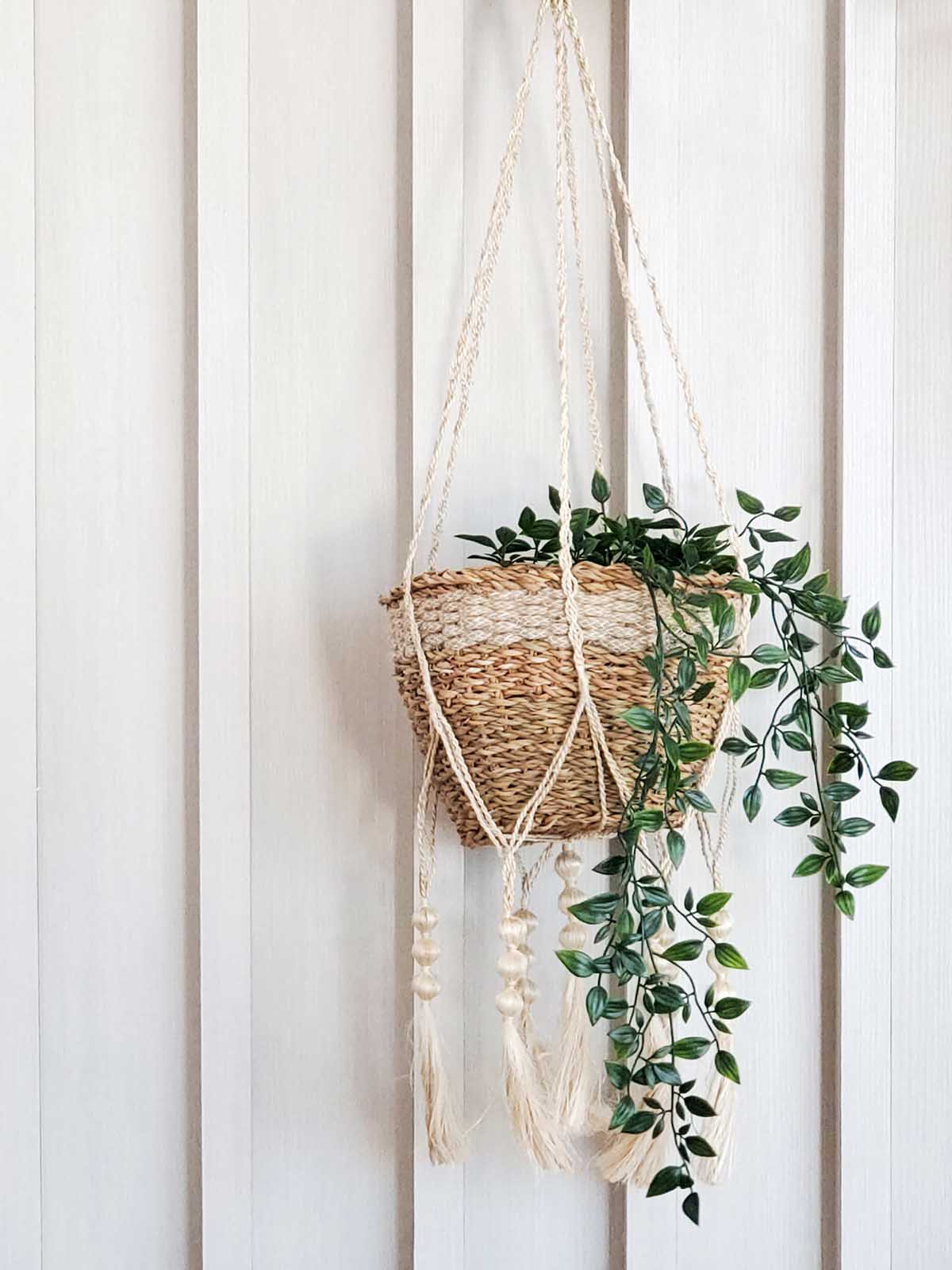 Plant Hanger | Fiora