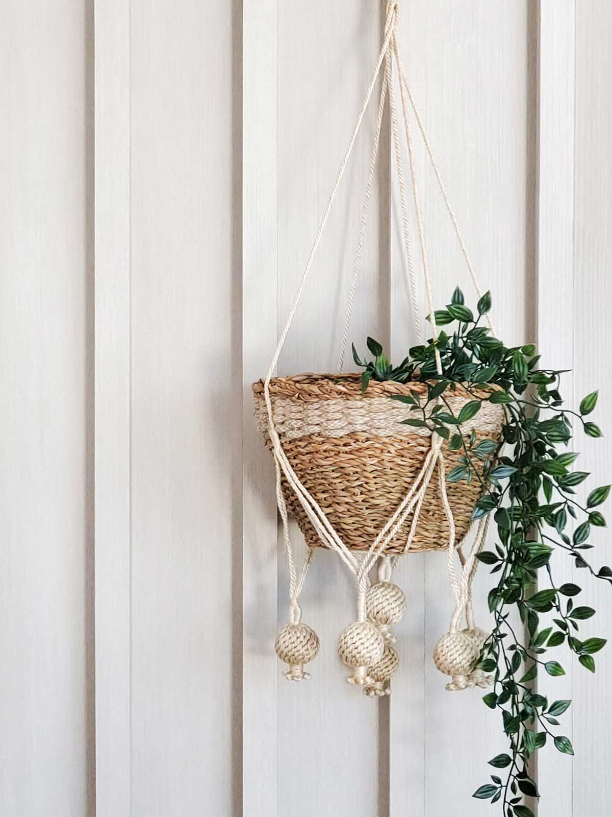 Plant Hanger | Kadam