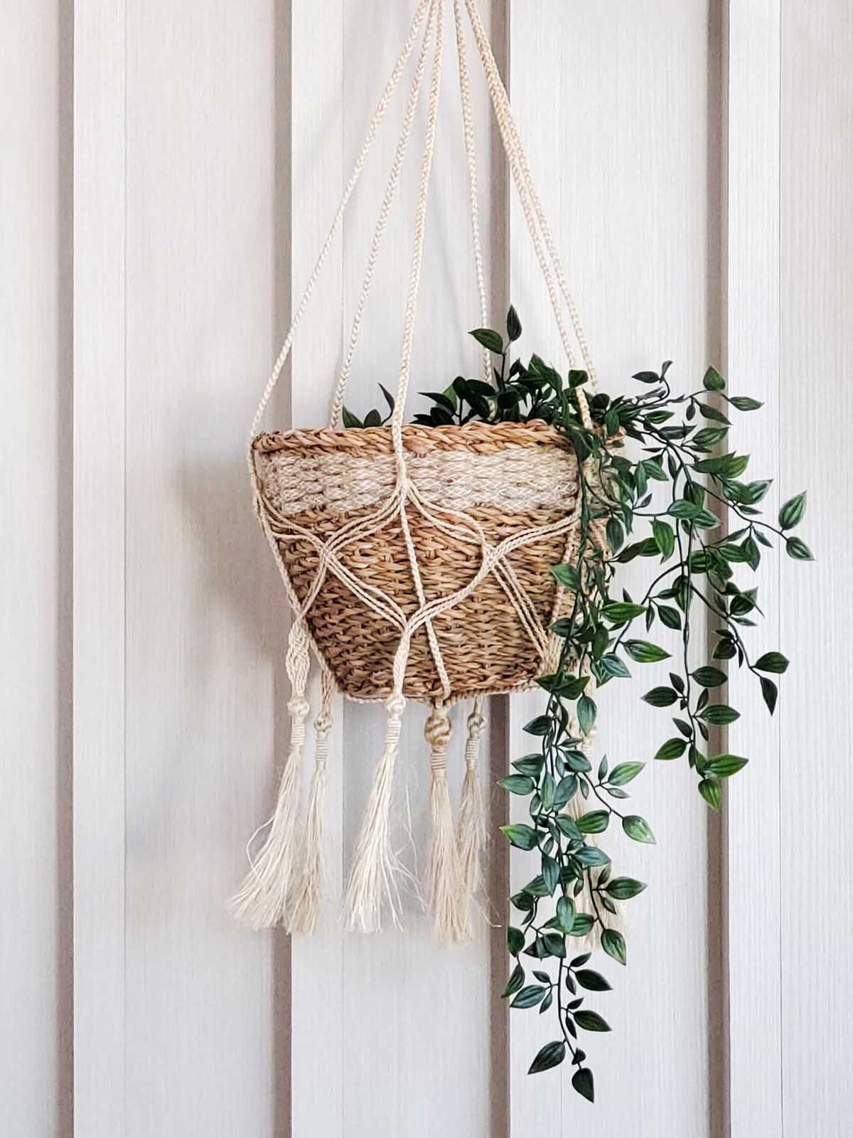 Plant Hanger | Bitan