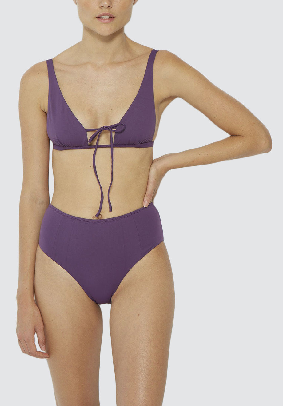 Asylum Brief | Lavender