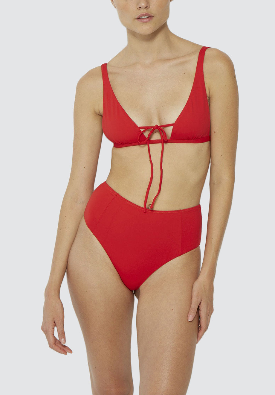 Asylum Brief | Red