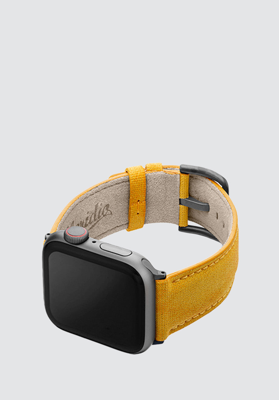 REcycled Golden Apple Watch Band