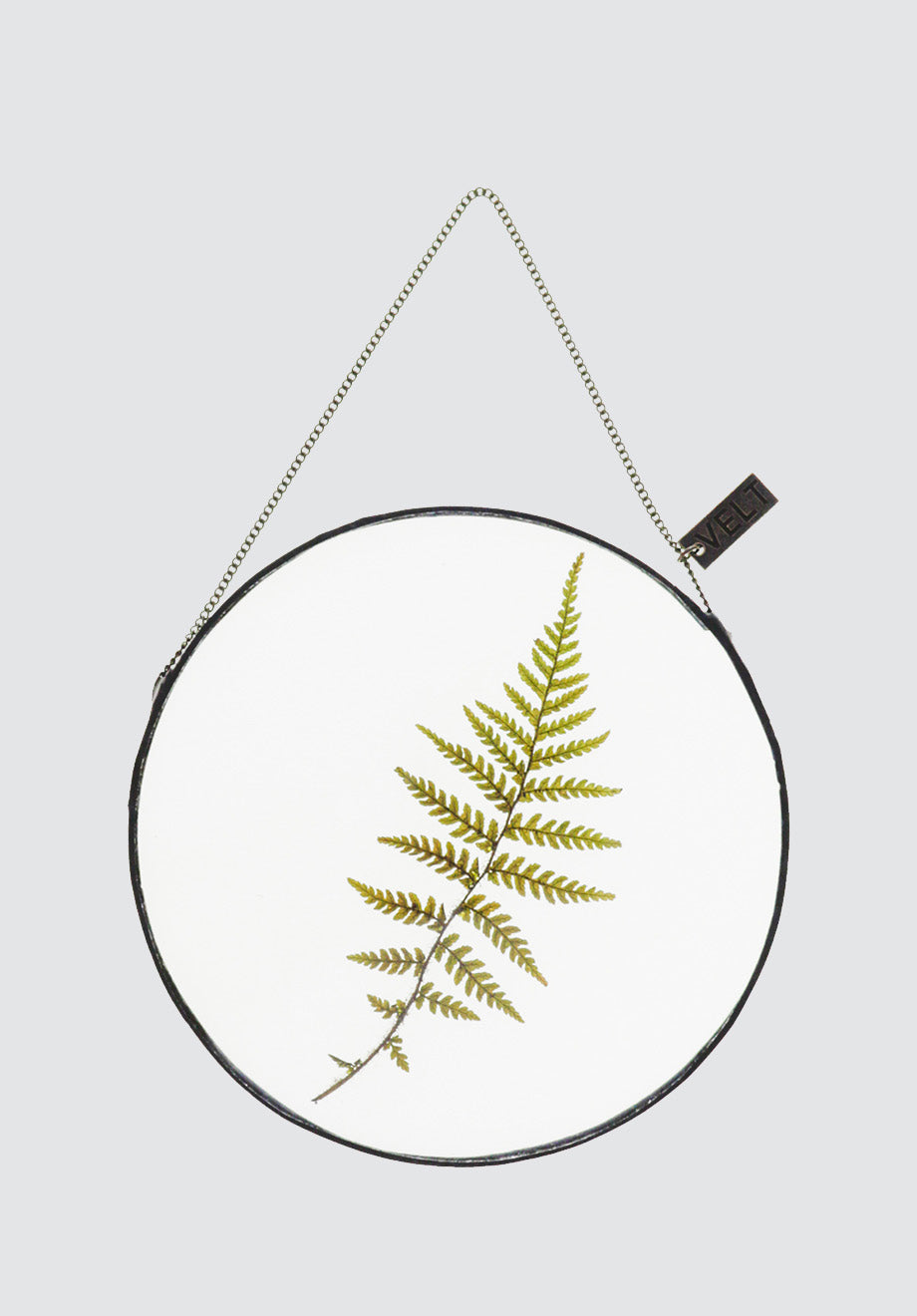 Life with Ferns Botanical Art | Round Small