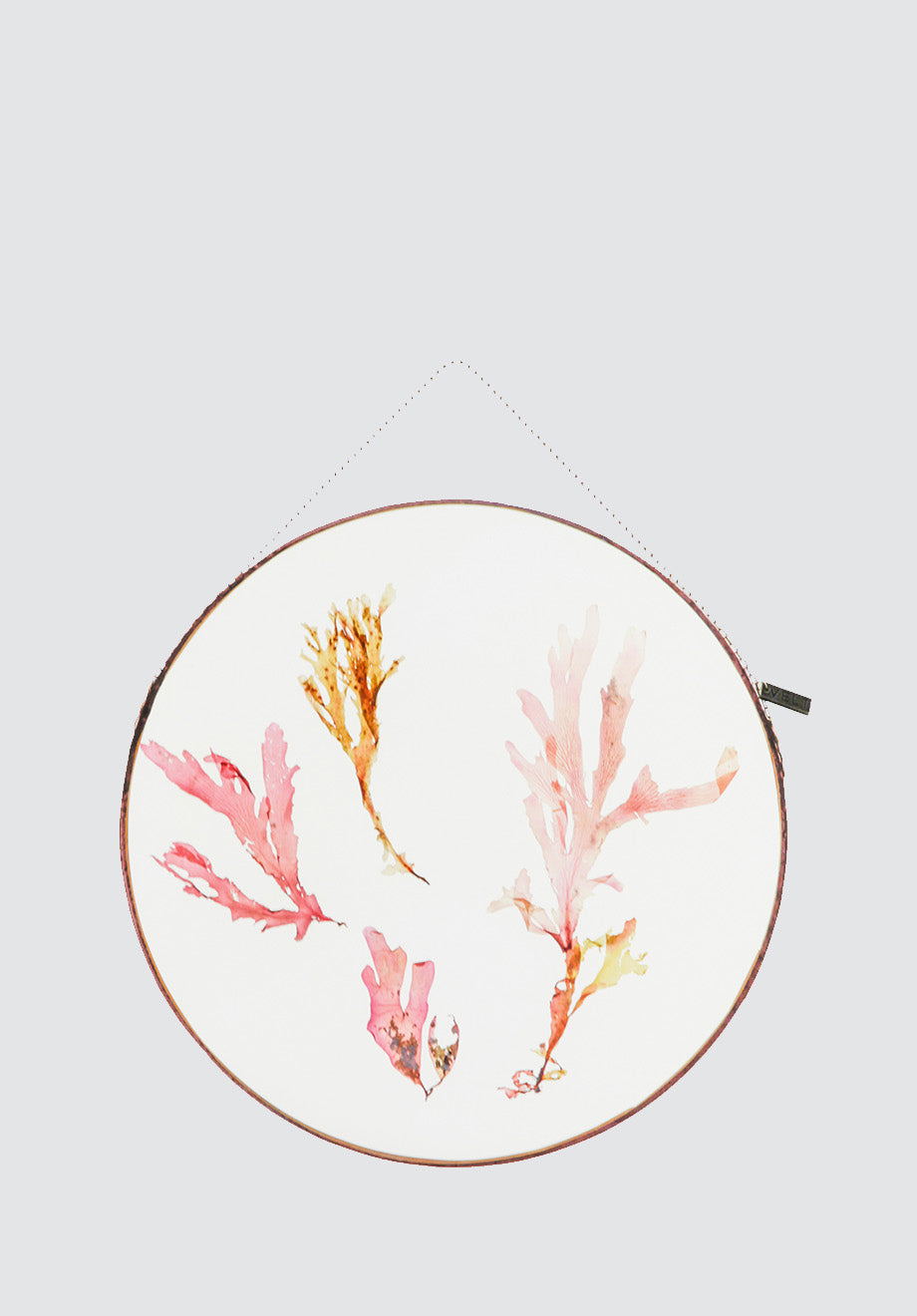 The Ocean's Garden Botanical Art | Round XL