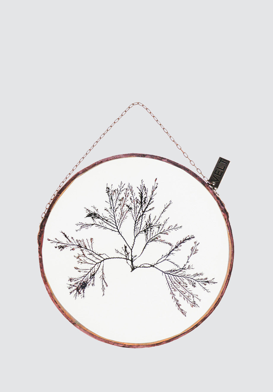 The Ocean's Garden Botanical Art | Round Small