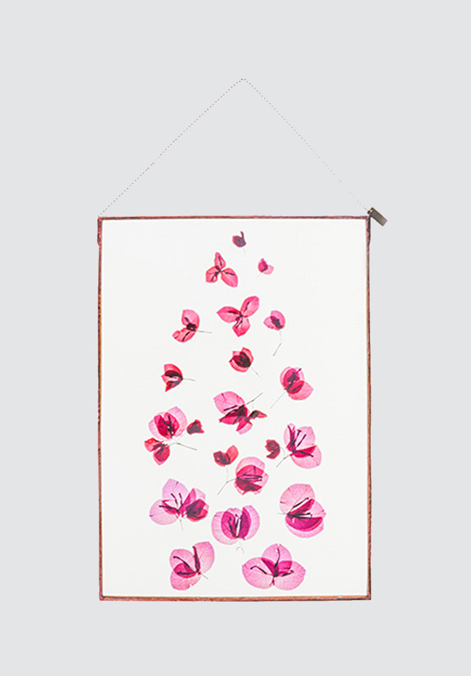 Bougainvillea Botanical Art | A3