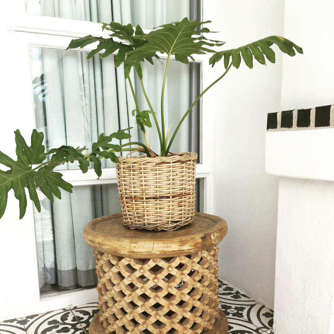 Round Pot Plant Baskets