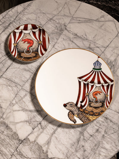 Turtle Plate Searcus